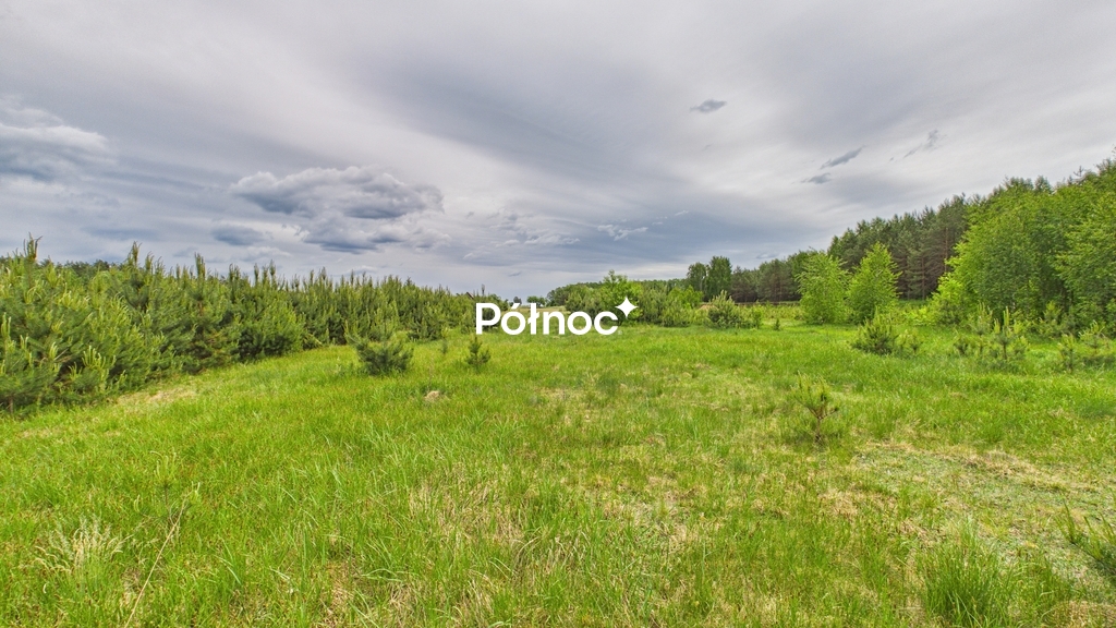 Zdjęcie 8