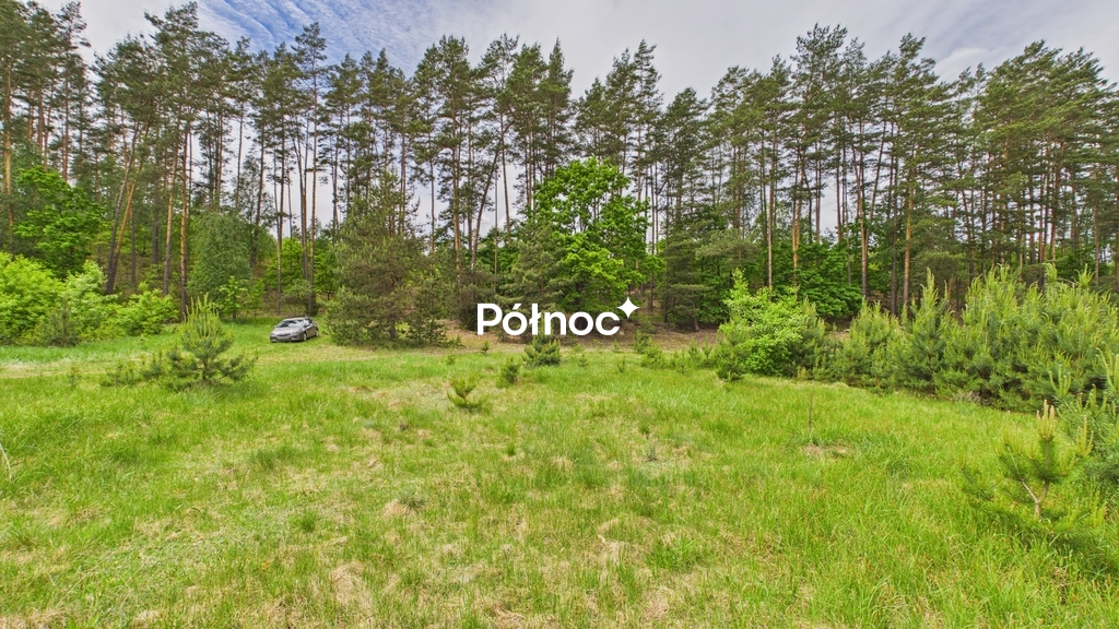 Zdjęcie 10