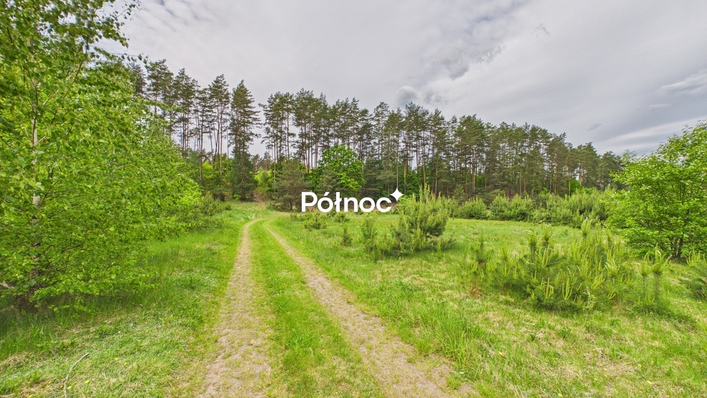 Zdjęcie 11