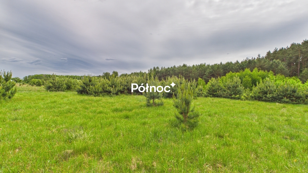 Zdjęcie 12
