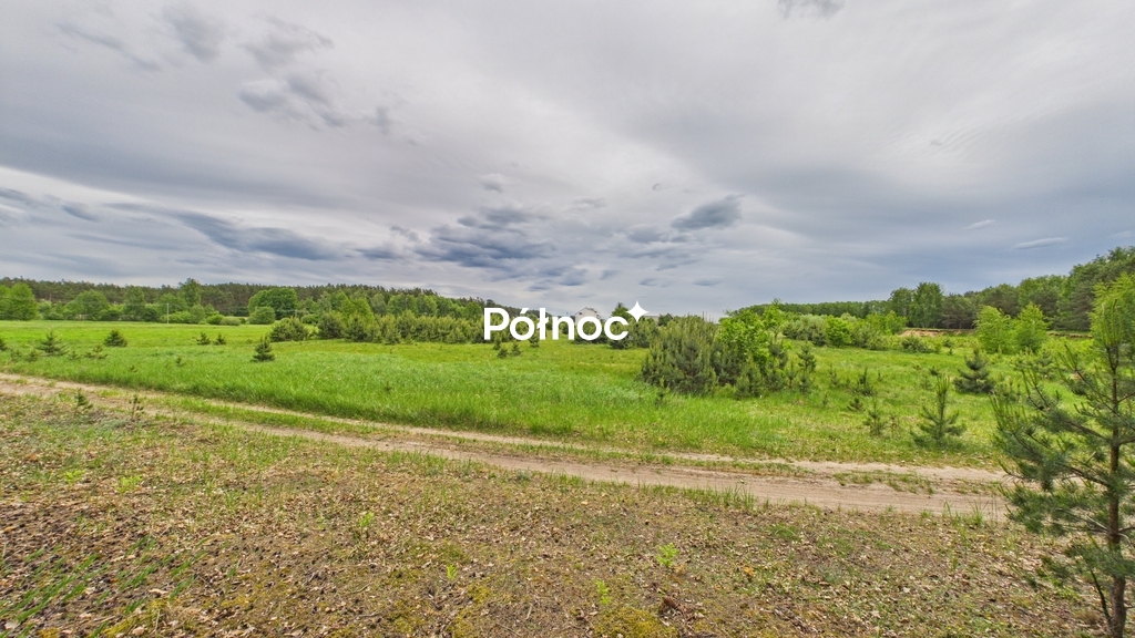 Zdjęcie 18