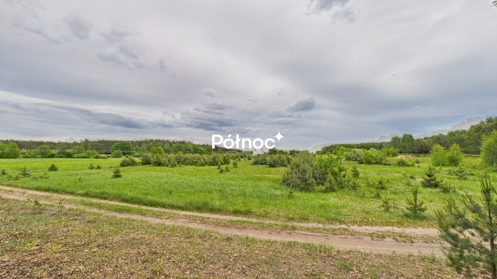 Zdjęcie 19