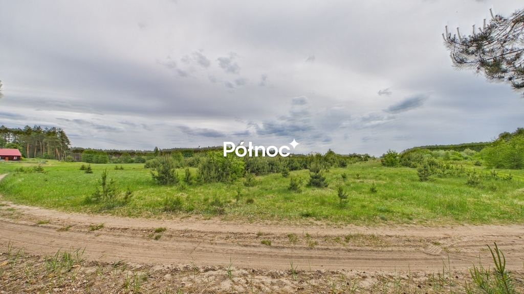 Zdjęcie 20