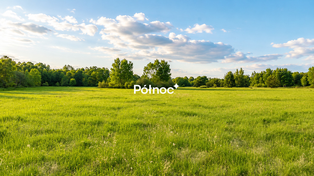 Zdjęcie 3