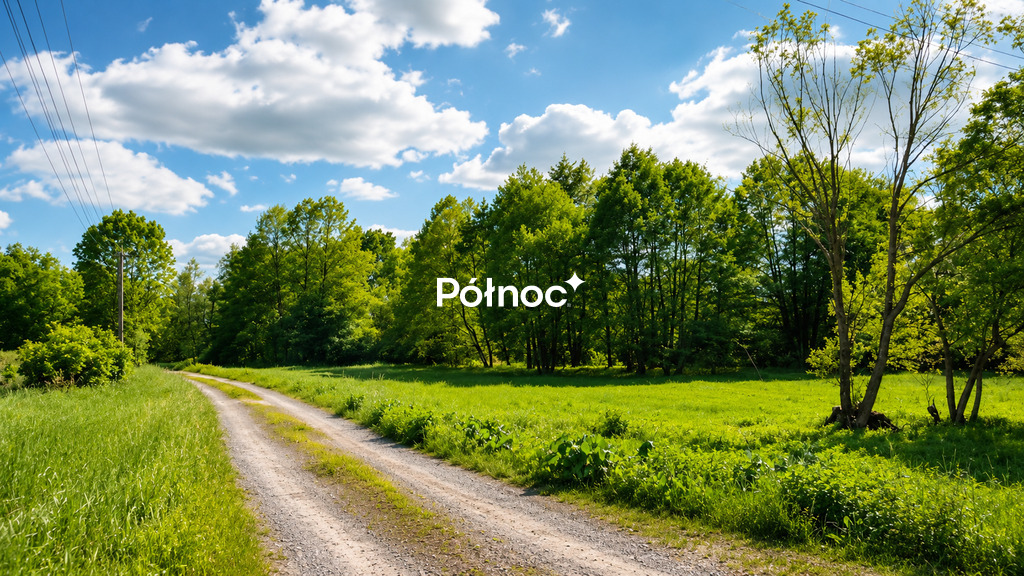 Zdjęcie 4