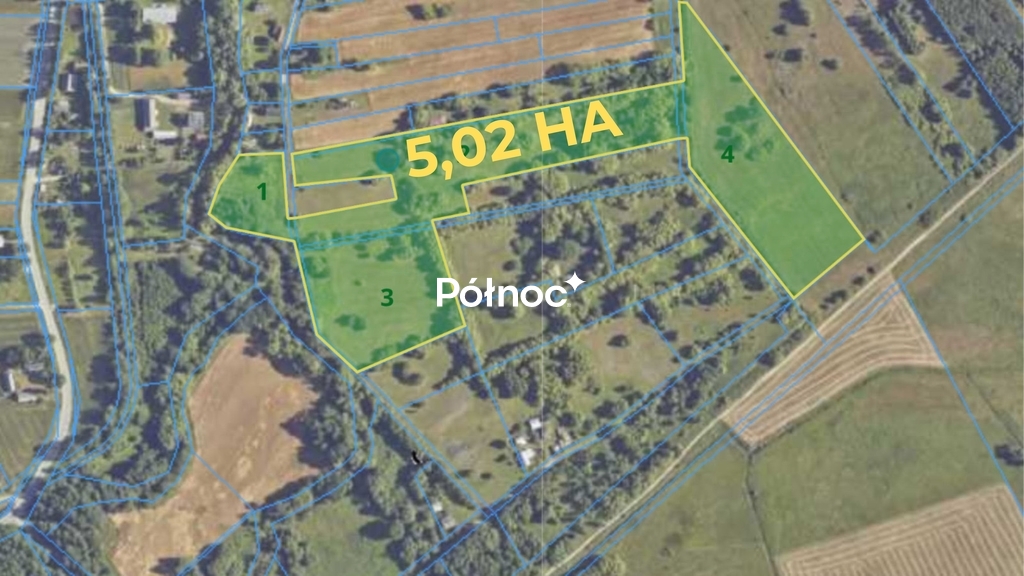 Zdjęcie 6