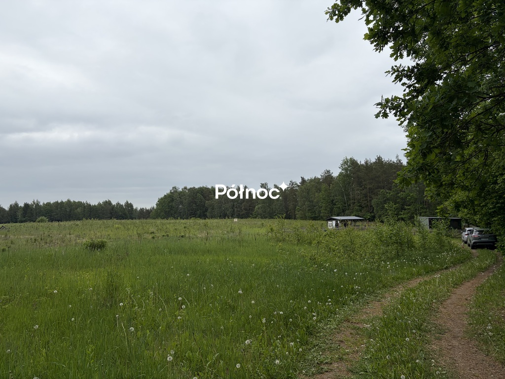 Zdjęcie 8
