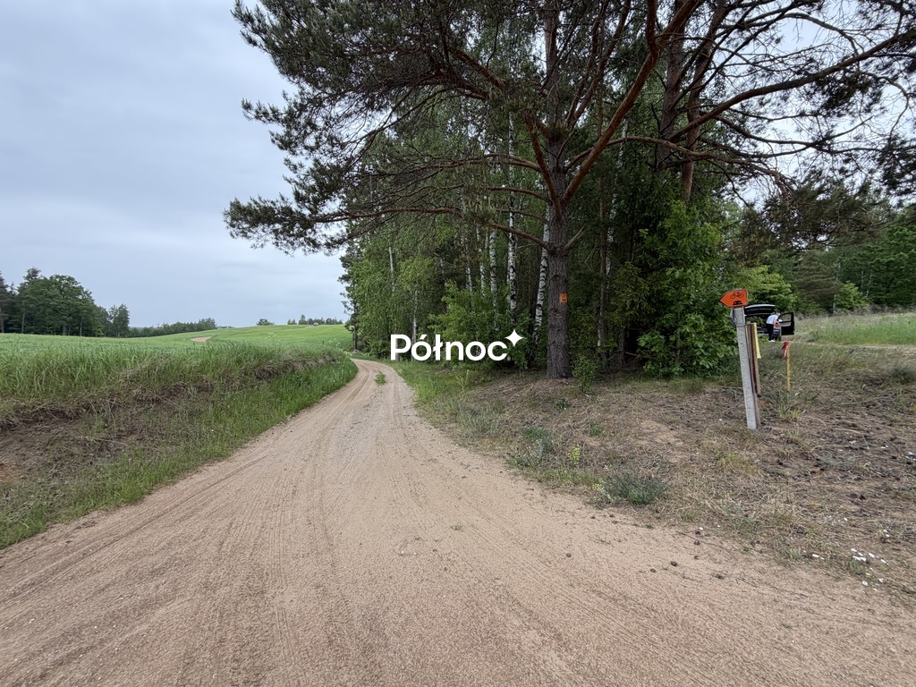 Zdjęcie 10
