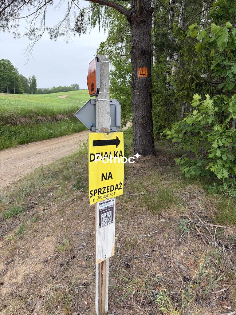 Zdjęcie 11