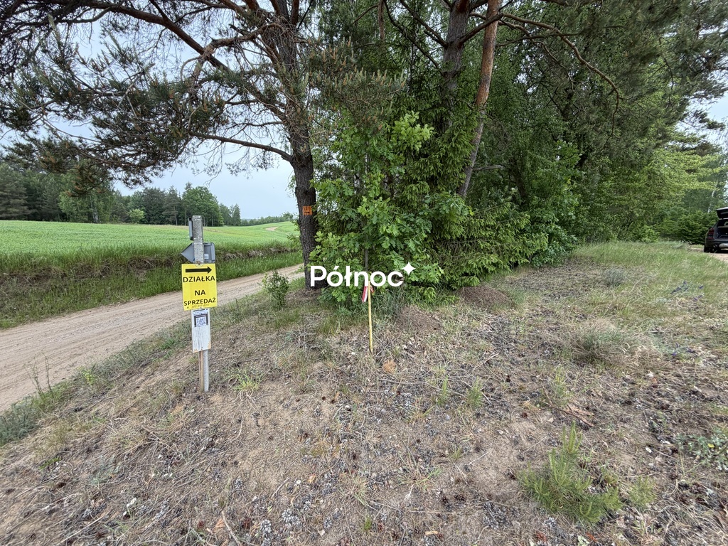 Zdjęcie 12