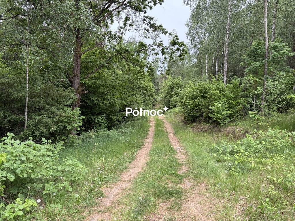 Zdjęcie 13