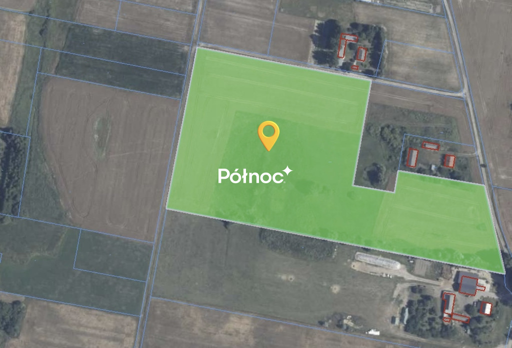Zdjęcie 6