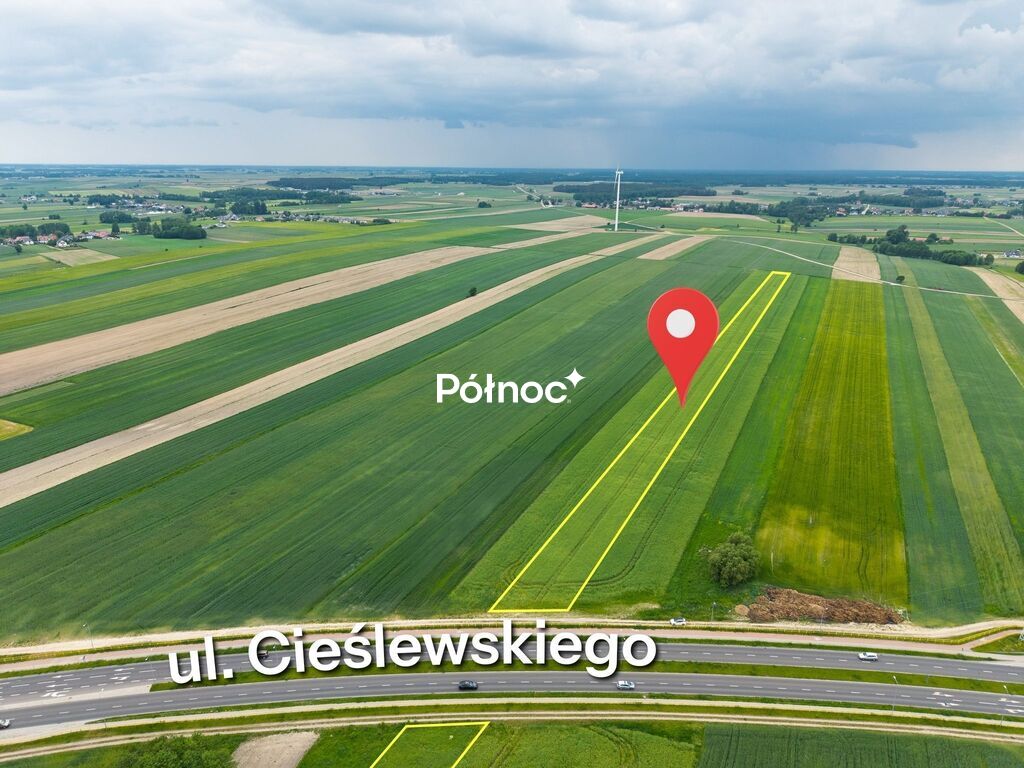 Zdjęcie 3