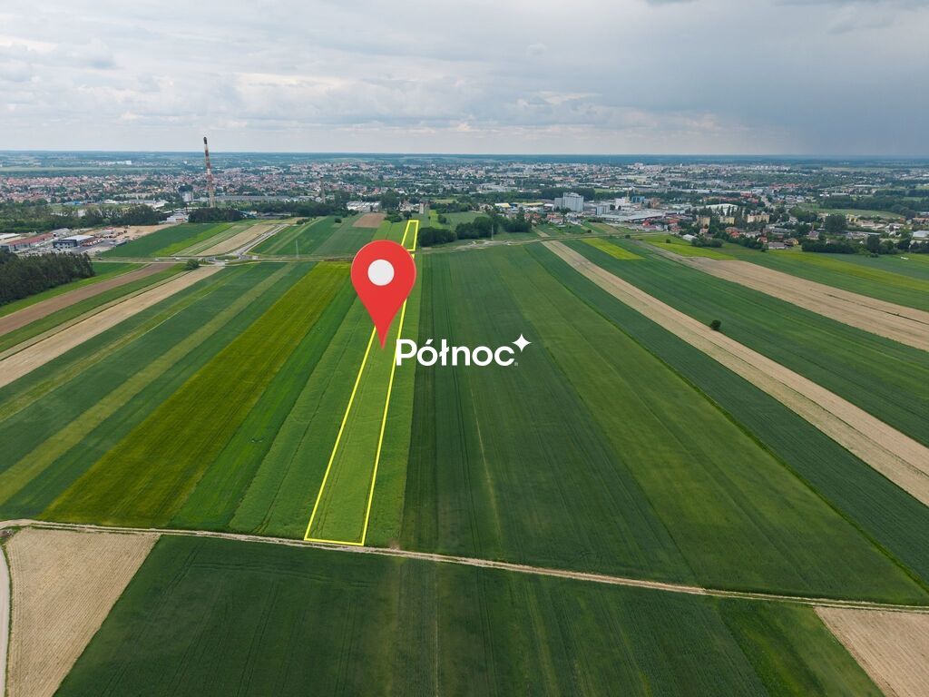 Zdjęcie 5