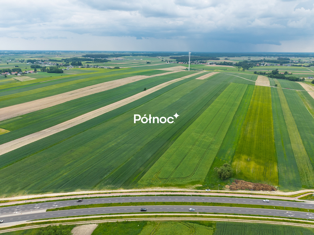 Zdjęcie 6
