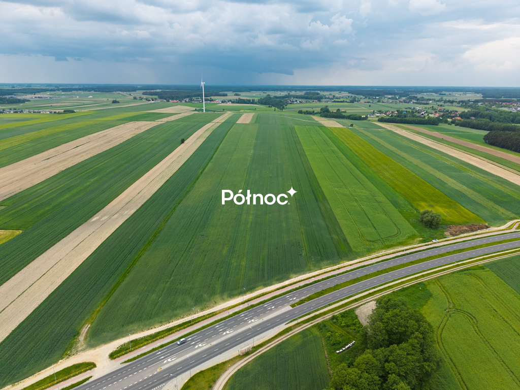 Zdjęcie 7