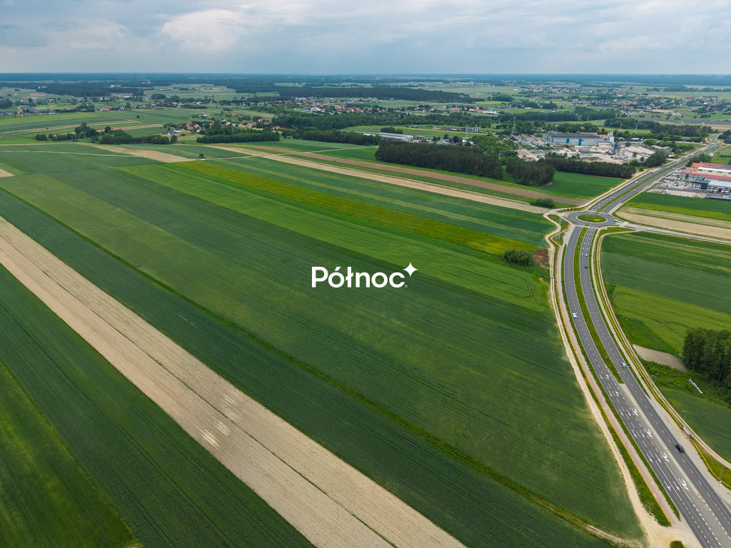 Zdjęcie 8