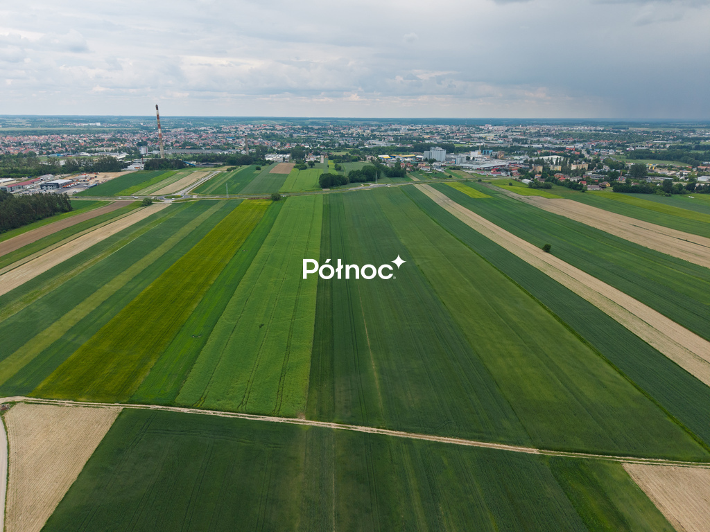 Zdjęcie 9