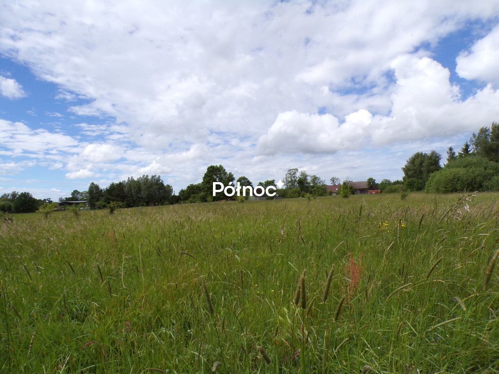 Zdjęcie 10