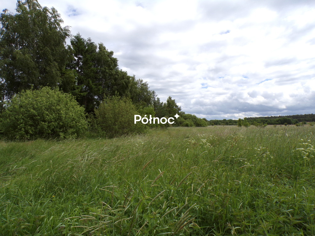 Zdjęcie 11
