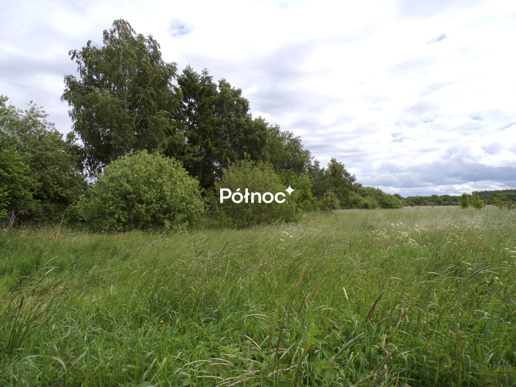 Zdjęcie 12