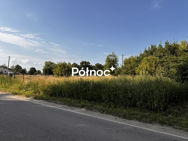 Zdjęcie 2