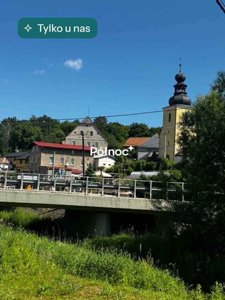 Działka inwestycyjna 8 180 m², Szalejów Górny