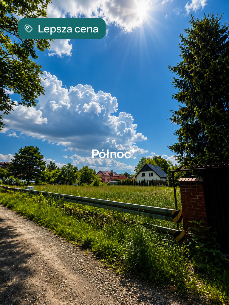 Zdjęcie 10