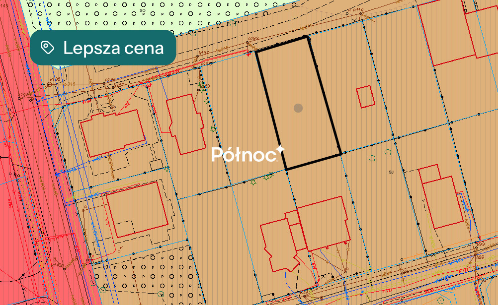 Zdjęcie 11