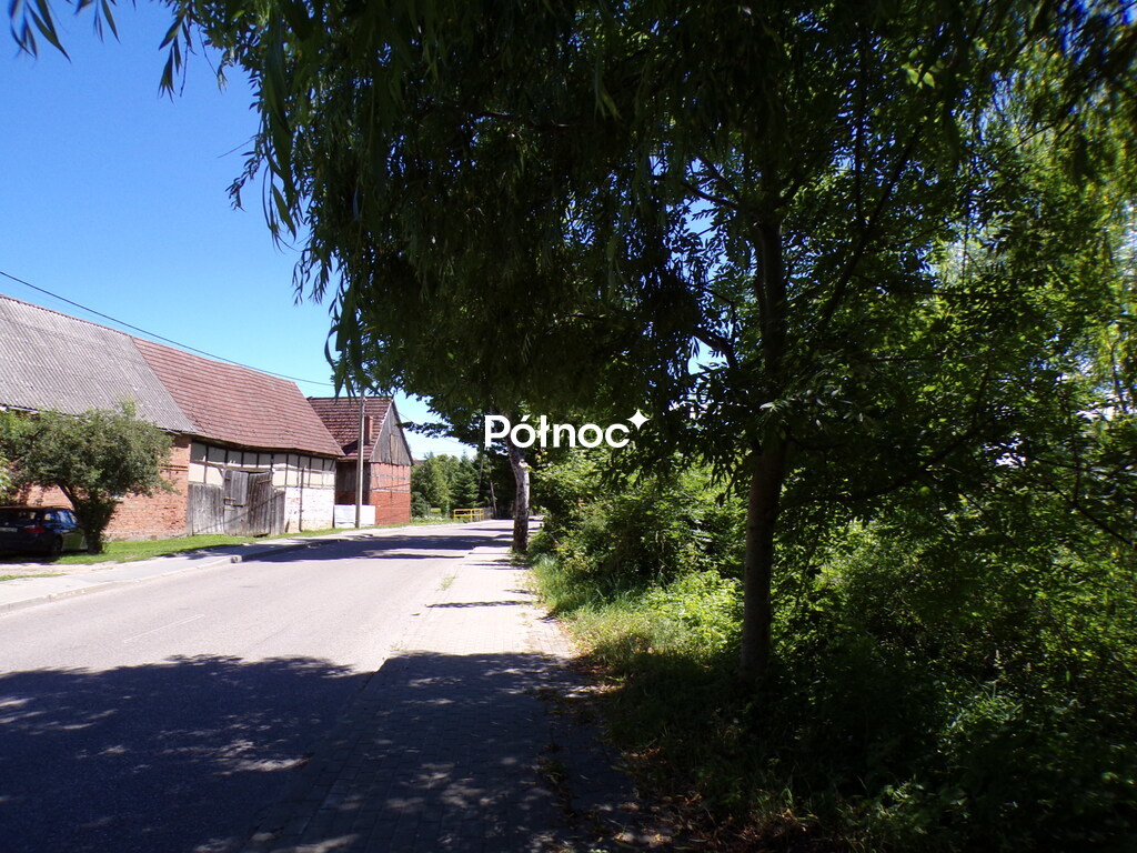 Zdjęcie 7