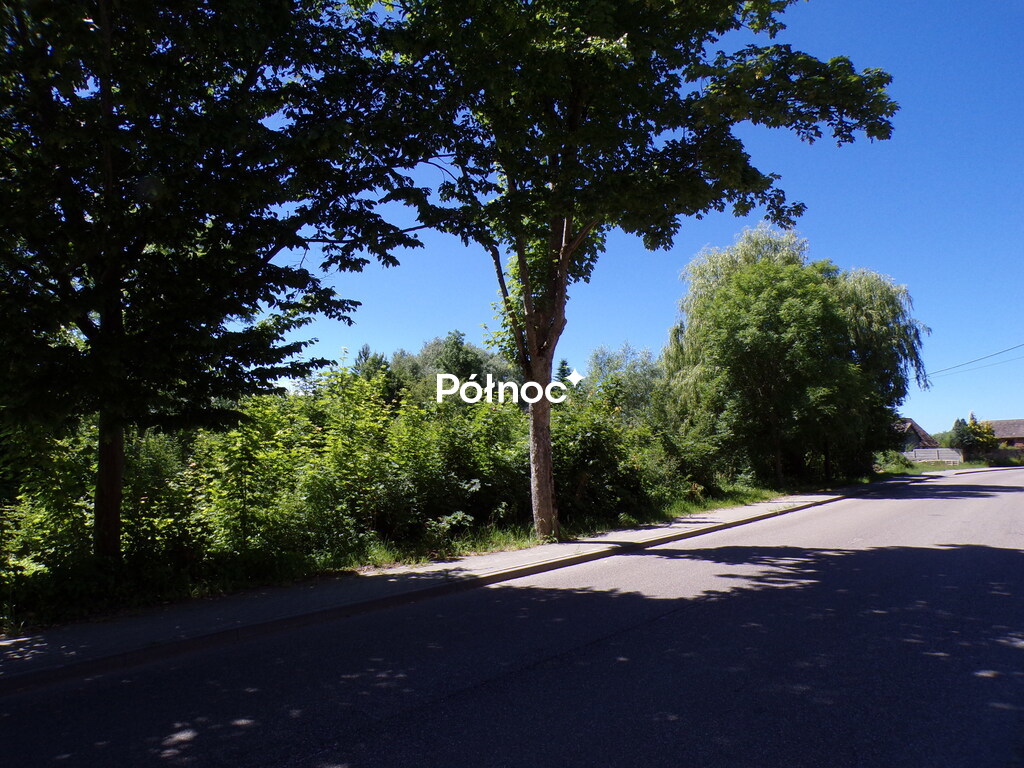 Zdjęcie 9