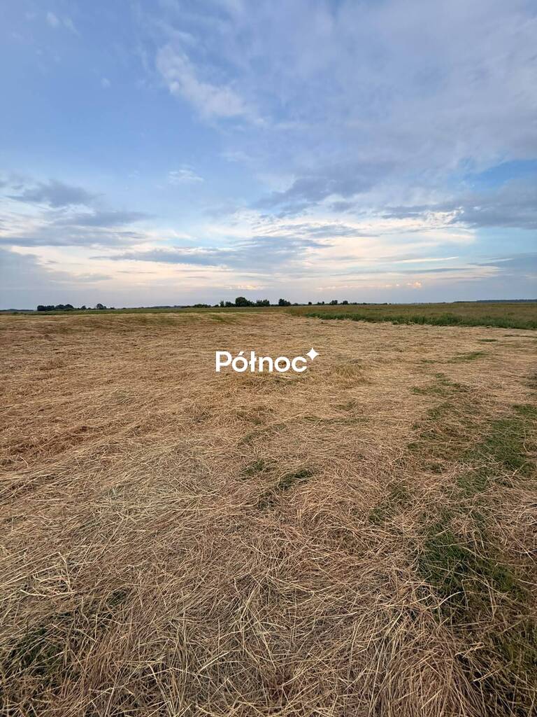 Zdjęcie 4