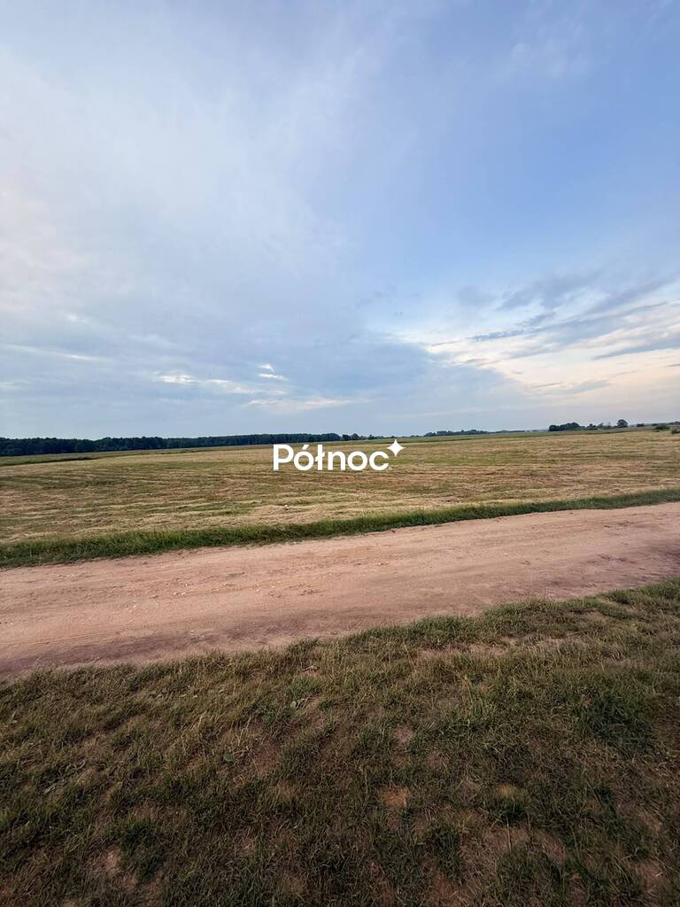 Zdjęcie 6