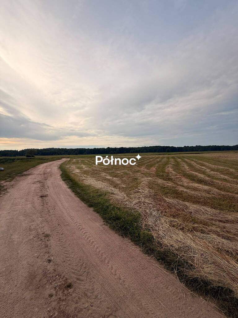 Zdjęcie 8