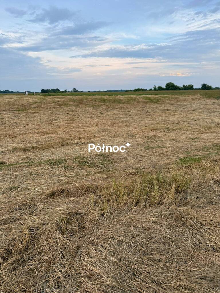 Zdjęcie 9