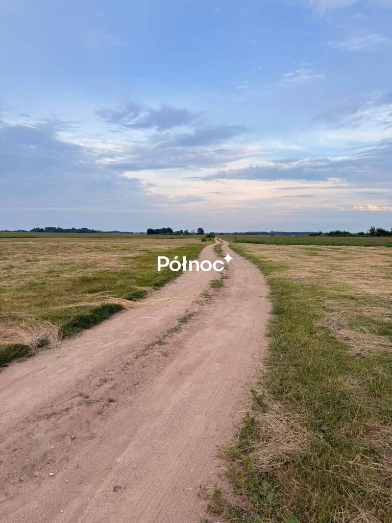 Zdjęcie 10