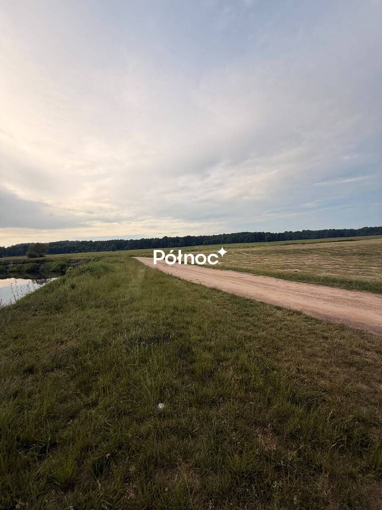 Zdjęcie 13