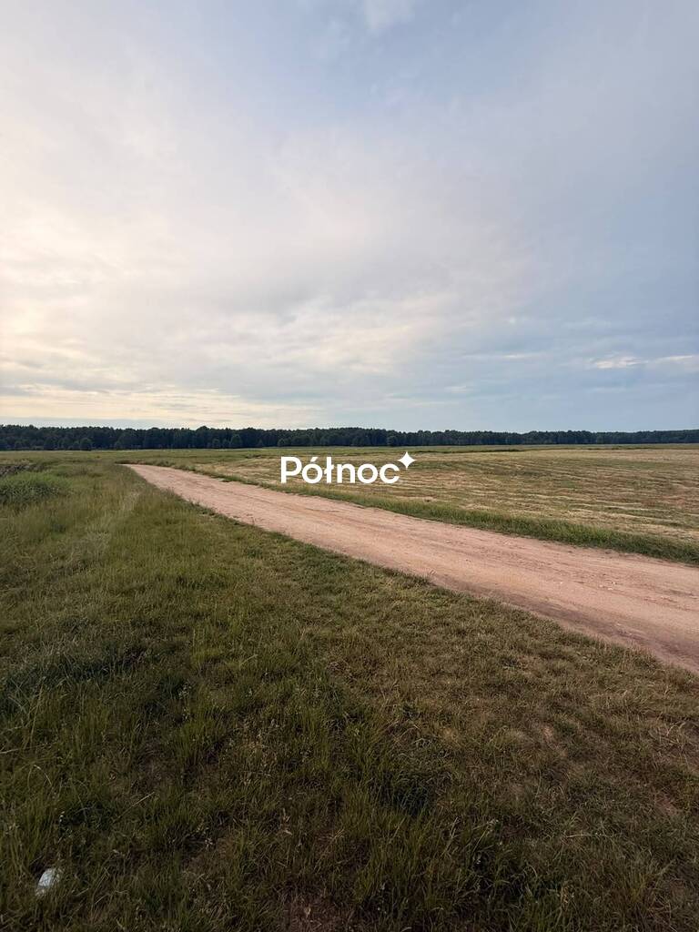 Zdjęcie 15