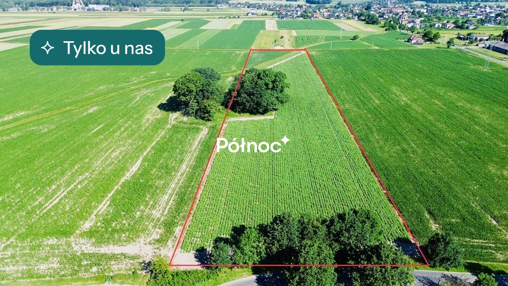 Inwestycja przyszłościowa ! Ponad 2ha !