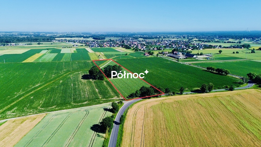 Zdjęcie 3