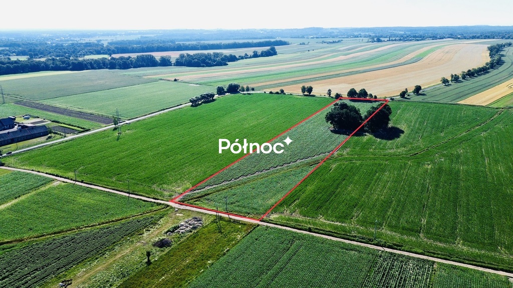 Zdjęcie 4