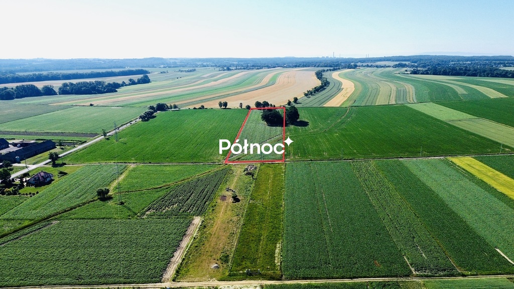 Zdjęcie 5