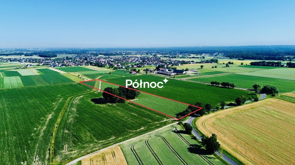 Zdjęcie 7