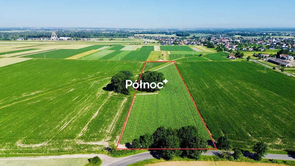 Zdjęcie 8