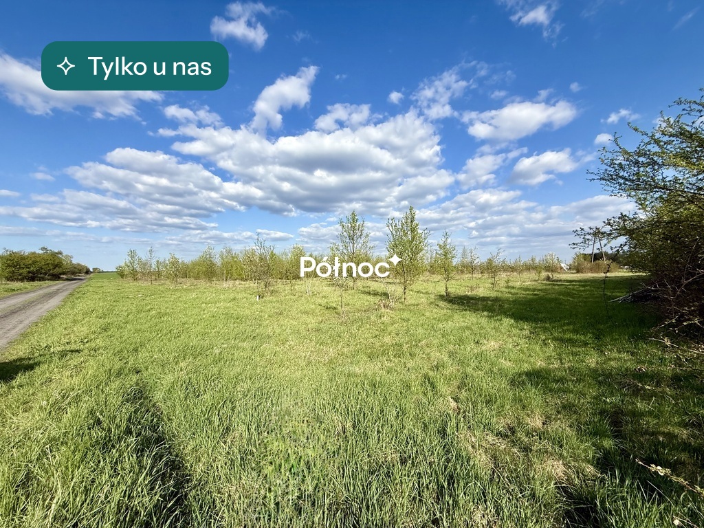 Działka z wydanymi warunkami zabudowy, Dryżyna