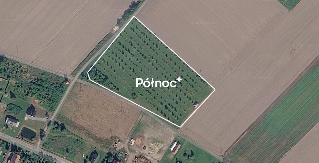 Zdjęcie 2