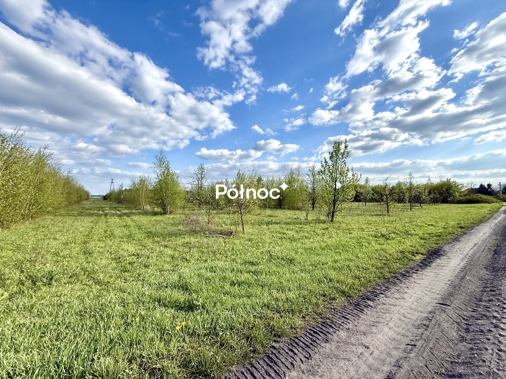 Zdjęcie 3