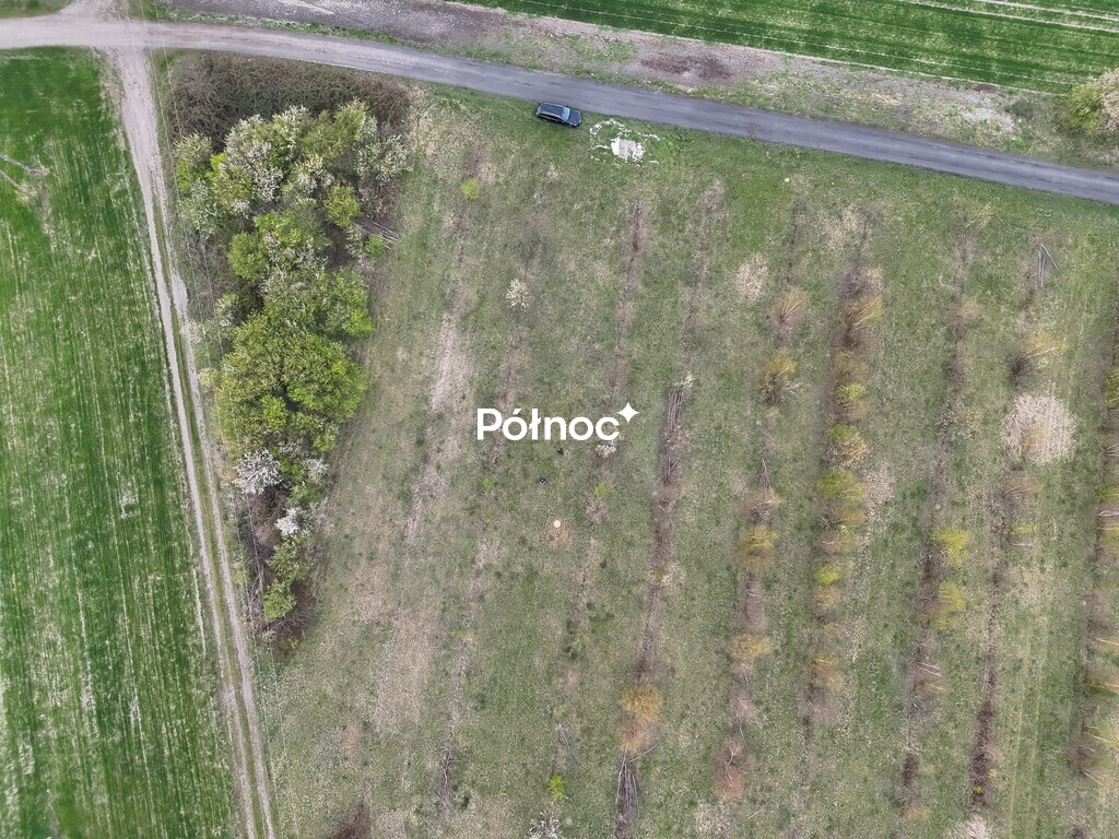 Zdjęcie 5