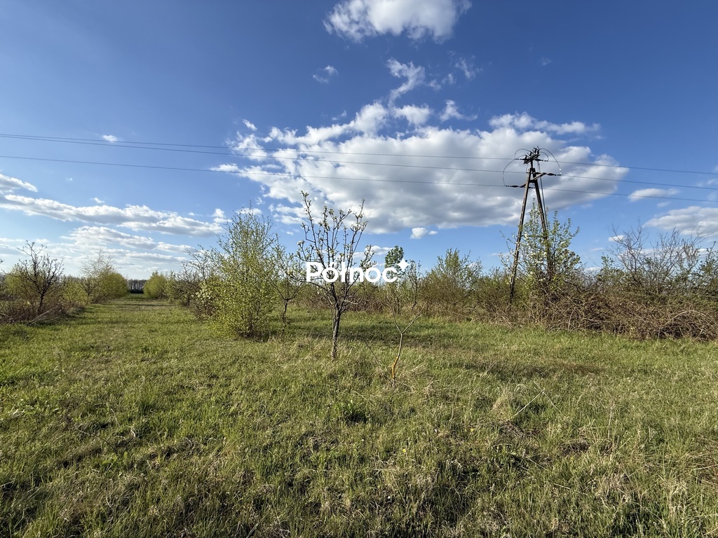 Zdjęcie 10