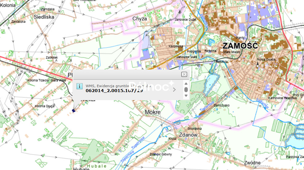 Zdjęcie 11